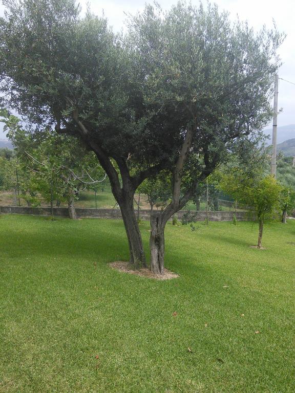 מלון אגרופולי La Selva מראה חיצוני תמונה
